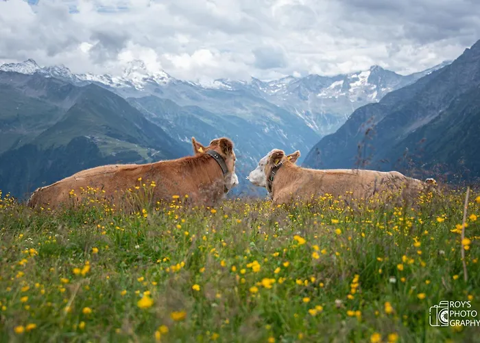 Haus Christophorus Apartman