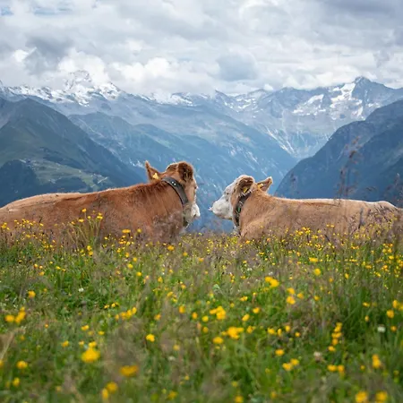 Haus Christophorus Апартаменти